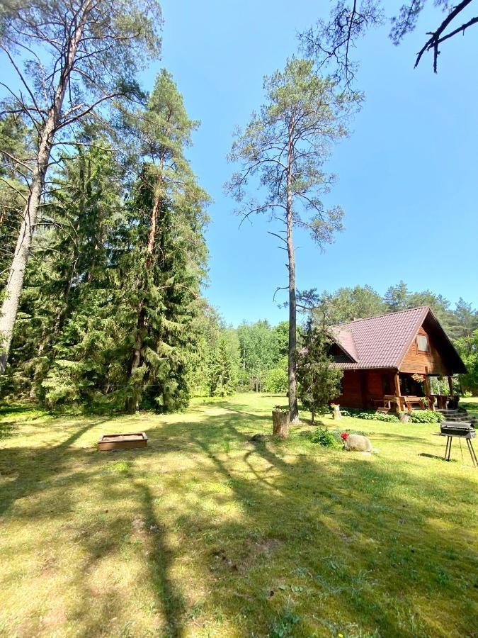 Rojaus Slenis Villa Druskininkai Exterior photo