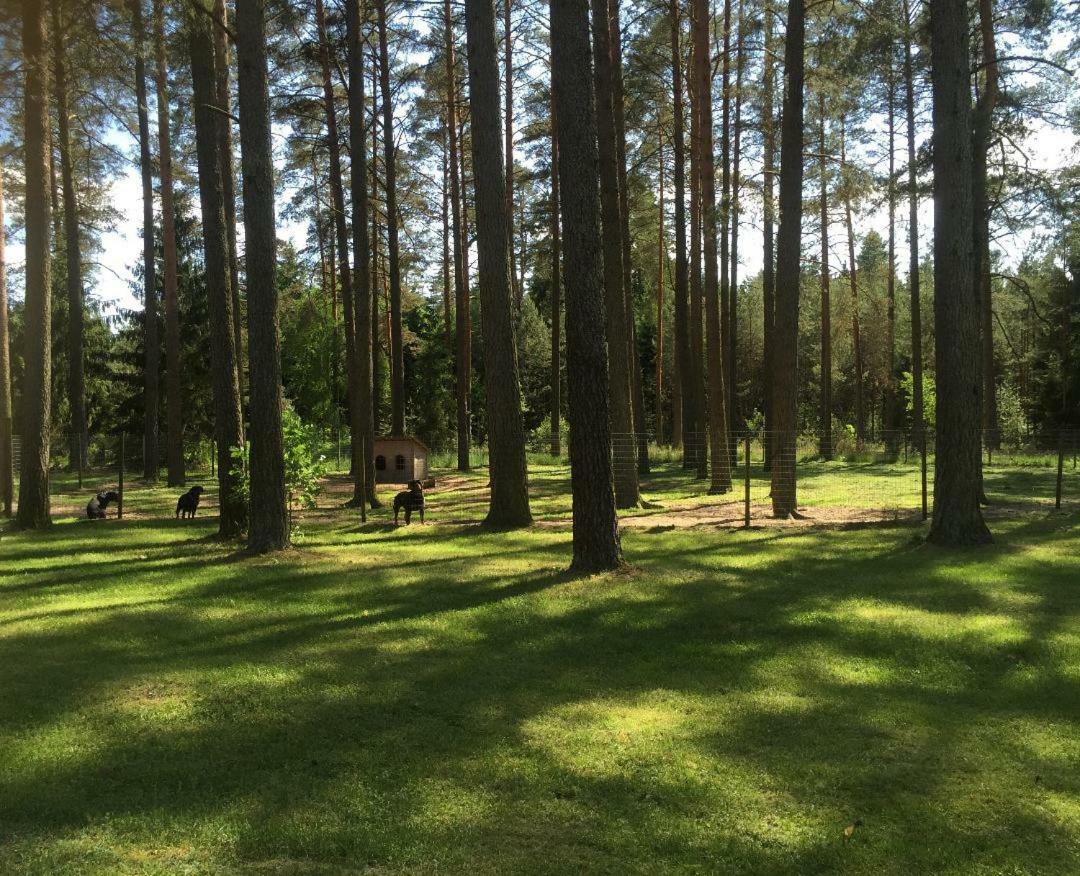 Rojaus Slenis Villa Druskininkai Exterior photo